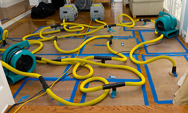 Professional Structural Drying And Dehumidification technician working in Round Lake, NY